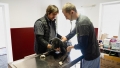 Близо 100 кучета са кастрирани за седмица в ОП  Общински приют за  безстопанствени животни  – Благоевград