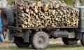 Хванаха горски да превозва незаконно дърва в Дупница