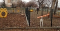 Община Благоевград пита гражданите къде да бъде изградена нова кучешка площадка