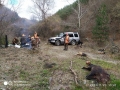 Експолицейският инспектор Д. Ичев счупи каръка на Хърсовската ловна дружинка, удари три прасета