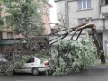 Бурята събори дърво върху лек автомобил в Благоевград