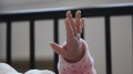 Бейби бум: Девет бебета се родиха в Петрич за три дни