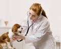 14 декември - Ден на ветеринарните специалисти