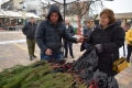 Община Сандански с инициатива  Засади дърво за Коледа