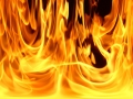 7 сигнала за пожари в област Благоевград