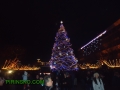 Пред погледа на хиляди жители и гости светна елхата в Благоевград