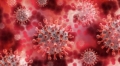 Вирусолог: Силно заразен грипен вирус ще съвпадне с вълната на Омикрон