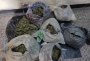 Спецоперация край Гоце Делчев! Полицията откри голямо количество марихуана в изоставена къща в с. Дъбница