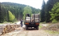 Следят камиони с дърва