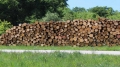 Кампания за предоставяне на дърва за огрев в Банско
