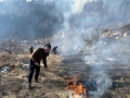 Изхвърлена от турист цигара е основната версия за горския пожар над Банско
