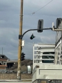 Хубава работа, ама... нашенска: Увисна светофарът в началото на квартал  Струмско