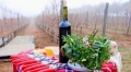 Община Петрич избира най-доброто домашно червено вино