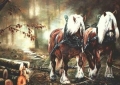 Празничен водосвет и ритуал по захранване на конете за Тодоровден в Банско