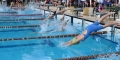 Над 500 плувци ще вземат участие в  Сандански къп