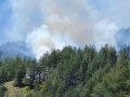 От последните минути: Голям пожар бушува в гората край Добринище