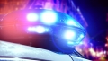 Полицията в Петрич залови двама мъже за кражба на четири бали сено