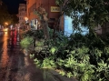 След бурята в Сандански - какви са щетите и има ли места без ток