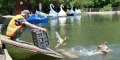 40 нови зеленоглави патици вече обитават езерото на парк  Бачиново