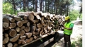 Пропуски при снабдяване на местното население с дърва за огрев