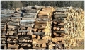 Двойно се е увеличило търсенето на дърва за огрев в Пиринско