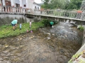 1500 балкански пъстърви бяха пуснати в реките Вотрачка и Белишка