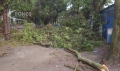 След бурята: Поморие остава без ток, Бургас разчиства щетите
