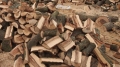 В очакване на трудна зима: Паническо търсене на дърва взриви цените до 220 лева за кубик