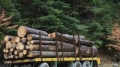 Пореден нарушител, превозващ дърва за огрев, установиха горски служители. Мъжът е задържан в района на село Елешница