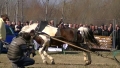 ОДБХ спря незаконно състезание с коне, организирано от кмета на с. Конарско А. Ахмед-Пачката