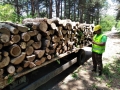 ЮЗДП отчита почти двоен ръст на доставените количества дърва през 2022