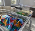Лора Панина е първото бебе на община Разлог за 2023 година.