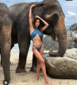 НОВ ТРЕНД: Александра Богданска се опъна върху слон