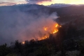 Пожарът край Елешница е овладян, засегнати са 60 декара