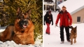 Куче от Разлог се прочу в Турция: Белгиецът Нико орисан да спасява живот
