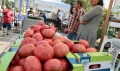 Климатичните изменения убиват българския розов домат