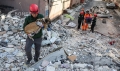 Доброволец: Животните в Турция са на пиедестал, спасихме 2000 след земетресенията