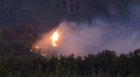 50 декара дъбова гора изгоряха при пожар в района на Гърмен