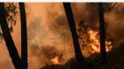 Два нощни пожара в Югозападна България