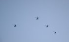 Какво се случва? Пет хеликоптера в небето над Благоевград стреснаха благоевградчани