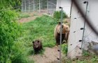 Зоопаркът в Благоевград си има нов малък обитател