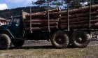 Полицията в Благоевград официално за задържания с незаконна дървесина камион край с. Крупник