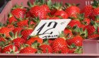 Слаба реколта на ягоди очакват производителите от Кресна