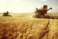 Министър Танева: Загубите на земеделието от руското ембарго са 82 млн. евро