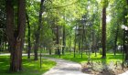 Дезакаризация на зелените площи и детските площадки в Гоце Делчев