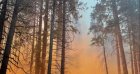 Пожар лумна в Петрич, движи се към Сандански
