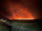 Собственикът на опожарените житни ниви край Разлог Ив. Стойчев: Пожарът е умишлен