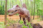 24 динозаври и приказни пеперуди оживяват в петък в парк Бачиново