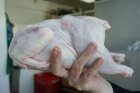 Благоевградчани ядат най-евтиното пилешко в страната