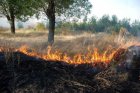 Пожар изпепели 200 дка смесена гора  над петричкото село Първомай
